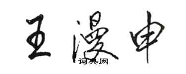 骆恒光王漫申行书个性签名怎么写
