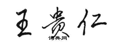 骆恒光王贵仁行书个性签名怎么写