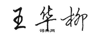 骆恒光王华柳行书个性签名怎么写