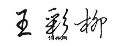 骆恒光王彩柳行书个性签名怎么写