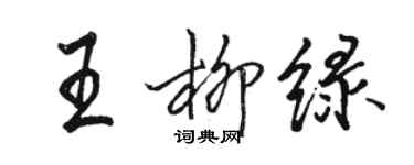 骆恒光王柳绿行书个性签名怎么写