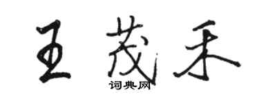 骆恒光王茂禾行书个性签名怎么写
