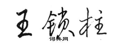 骆恒光王锁柱行书个性签名怎么写
