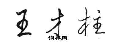 骆恒光王才柱行书个性签名怎么写
