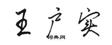骆恒光王户实行书个性签名怎么写