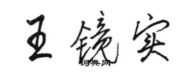 骆恒光王镜实行书个性签名怎么写
