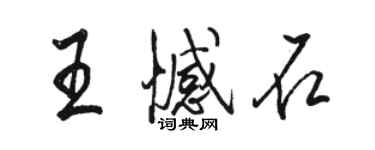 骆恒光王憾石行书个性签名怎么写
