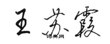 骆恒光王苏霞行书个性签名怎么写