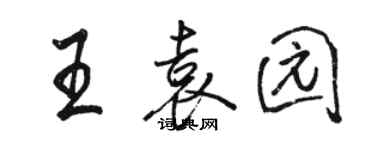 骆恒光王袁园行书个性签名怎么写