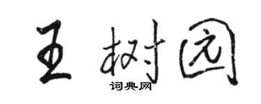 骆恒光王树园行书个性签名怎么写