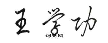 骆恒光王学功行书个性签名怎么写