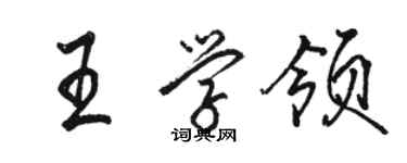 骆恒光王学领行书个性签名怎么写
