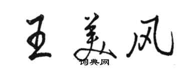 骆恒光王美风行书个性签名怎么写