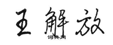 骆恒光王解放行书个性签名怎么写