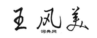 骆恒光王风美行书个性签名怎么写