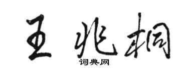骆恒光王兆桐行书个性签名怎么写