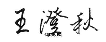 骆恒光王澄秋行书个性签名怎么写