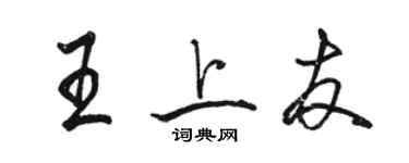 骆恒光王上友行书个性签名怎么写