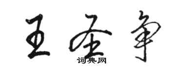 骆恒光王圣争行书个性签名怎么写