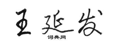 骆恒光王延发行书个性签名怎么写