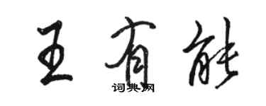 骆恒光王有能行书个性签名怎么写