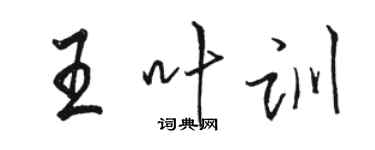 骆恒光王叶训行书个性签名怎么写