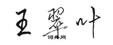 骆恒光王翠叶行书个性签名怎么写
