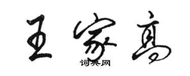 骆恒光王家高行书个性签名怎么写
