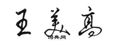 骆恒光王美高行书个性签名怎么写