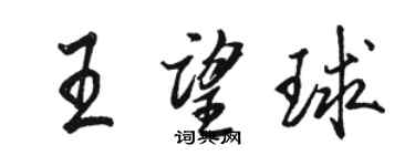 骆恒光王望球行书个性签名怎么写