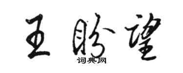 骆恒光王盼望行书个性签名怎么写