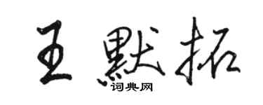 骆恒光王默拓行书个性签名怎么写