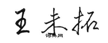 骆恒光王未拓行书个性签名怎么写