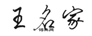 骆恒光王名家行书个性签名怎么写
