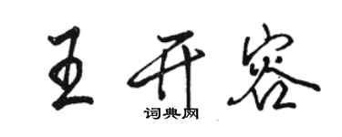 骆恒光王开容行书个性签名怎么写