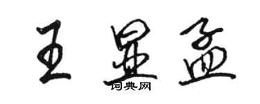 骆恒光王显孟行书个性签名怎么写