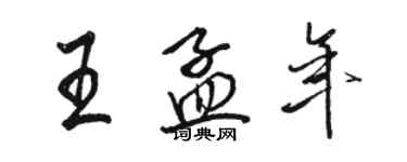 骆恒光王孟年行书个性签名怎么写