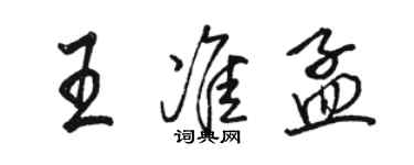 骆恒光王准孟行书个性签名怎么写
