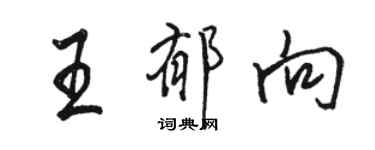 骆恒光王郁向行书个性签名怎么写