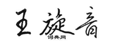 骆恒光王旋音行书个性签名怎么写