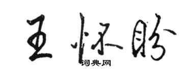 骆恒光王怀盼行书个性签名怎么写