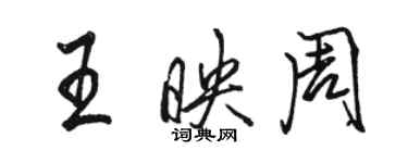 骆恒光王映周行书个性签名怎么写