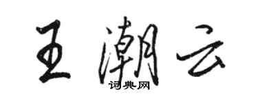 骆恒光王潮云行书个性签名怎么写