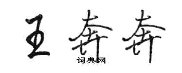 骆恒光王奔奔行书个性签名怎么写
