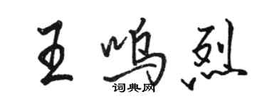 骆恒光王呜烈行书个性签名怎么写