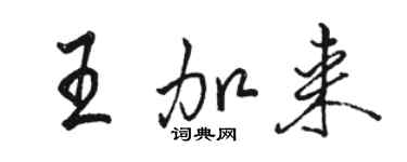 骆恒光王加来行书个性签名怎么写