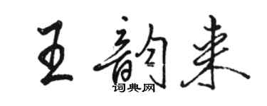 骆恒光王韵来行书个性签名怎么写