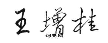 骆恒光王增桂行书个性签名怎么写