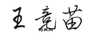 骆恒光王竞苗行书个性签名怎么写