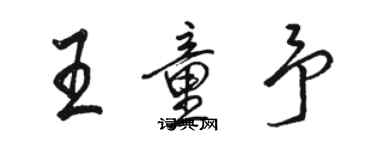骆恒光王童予行书个性签名怎么写
